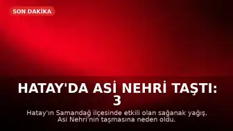 Hatay'da Asi Nehri Taştı: 3 Ölü, 3 Yaralı, 2 Kayıp