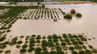 Hatay'da Aşırı Yağışlar Sonucu Asi Nehri Taştı, Tarım Arazileri Zarar Gördü