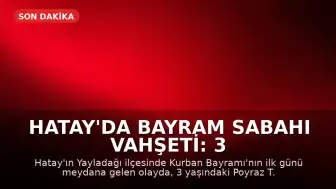 Hatay'da Bayram Sabahı Vahşeti: 3 Yaşındaki Çocuk Hayatını Kaybetti