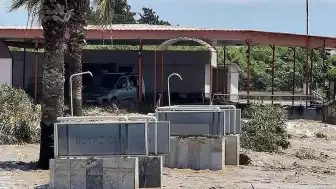 Hatay'ın Dörtyol İlçesinde Şiddetli Yağış Nedeniyle Sel Baskını: Araçlar Sular Altında Kaldı