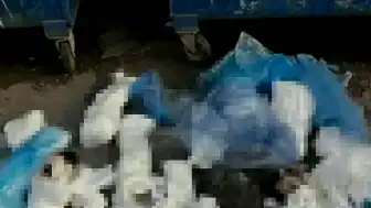 İzmir'de 33 Ölü Kedi Davasında Veteriner Hekim H.E. Tutuklandı