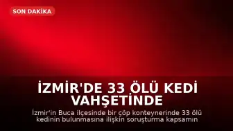 İzmir'de 33 Ölü Kedi Vahşetinde Veteriner Hekim Yeniden Gözaltına Alındı