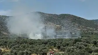 İzmir'in Bayındır İlçesinde Zeytinlik Alanda Yangın Çıktı