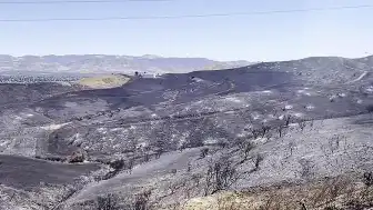 Kaliforniya'da Orman Yangını Kontrol Altına Alınamıyor