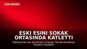 Malatya'da Eski Eş Cinayeti: F.K. Sokak Ortasında Katledildi