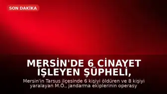 Mersin'de 6 Cinayet İşleyen Şüpheli, Yakalanacağını Anlayınca İntihar Etti