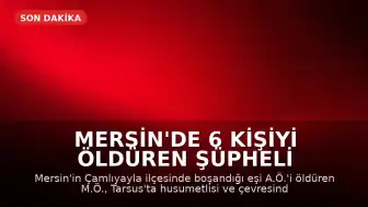 Mersin'de 6 Kişiyi Öldüren Şüpheli İntihar Etti