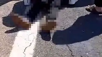 Şanlıurfa'da Kurbanlık Yüklü Kamyonet Devrildi: 1 Kişi Hayatını Kaybetti, 1 Yaralı