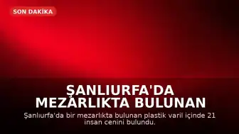 Şanlıurfa'da Mezarlıkta Bulunan Varilde 21 Cenine El Konuldu