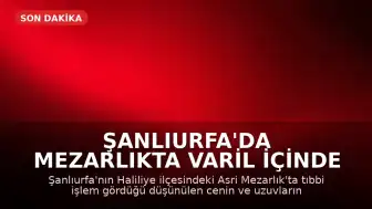 Şanlıurfa'da Mezarlıkta Varil İçinde Cenin ve Uzuvlar Bulundu