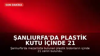 Şanlıurfa'da Plastik Kutu İçinde 21 Cenin Bulundu
