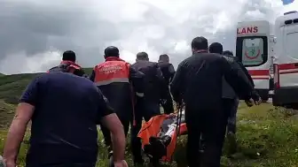 Sivas'ta Mantar Toplarken Ayı Saldırısına Uğrayan Vatandaşın Parmağı Koptu