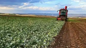 Tokat'ta Sel ve Dolu Afeti Çiftçileri Vurdu: Ziraat Odası Destek Sözü Verdi