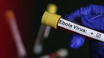 Uganda, Ebola Salgını Nedeniyle Kongo Sınırını Kapattı