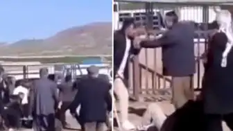 Van Hayvan Pazarında Kanlı Kavga: 1 Ölü, 13 Yaralı