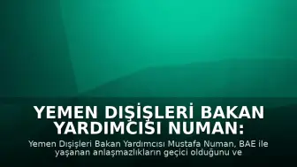 Yemen Dışişleri Bakan Yardımcısı Numan: BAE ile Anlaşmazlıklar Geçici