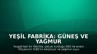 Yeşil Fabrika: Güneş ve Yağmur Suyuyla Enerji ve Su İhtiyacını Karşılıyor