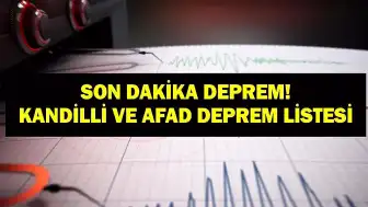 8 Haziran 2026: Muğla'da Hafif Şiddette Deprem Meydana Geldi