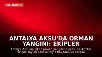 Antalya Aksu'da Orman Yangını: Ekipler Havadan ve Karadan Müdahale Ediyor