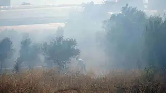 Antalya'da Çalılık Alanda Çıkan Yangın Seralara Ulaşmadan Söndürüldü