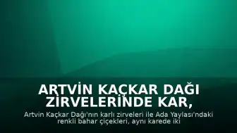Artvin Kaçkar Dağı Zirvelerinde Kar, Ada Yaylası'nda Bahar Çiçekleri Görülüyor