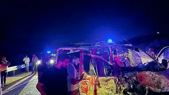 Bingöl'de Ata Çarpan Panelvanda 1 Kişi Öldü, 2 Kişi Yaralandı