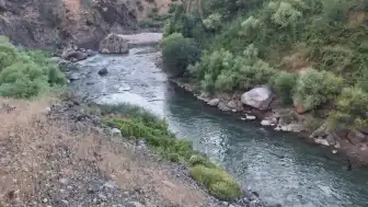 Bitlis Mutki'de Dere Acı Olayı: 3 Kardeşten 1'i Öldü, 1'i Kayıp