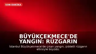 Büyükçekmece'de Yangın: Rüzgarın Etkisiyle Alevler Yayıldı