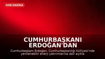Cumhurbaşkanı Erdoğan'dan Yenilenebilir Enerji Yatırımlarına İlişkin Açıklamalar