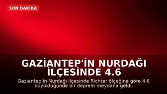 Gaziantep'in Nurdağı ilçesinde 4.6 büyüklüğünde deprem kaydedildi