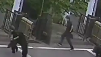 Japonya'da Ayı Saldırıları Nedeniyle Eğitime Ara Verildi