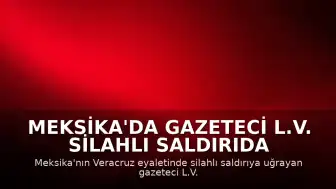 Meksika'da Gazeteci L.V. Silahlı Saldırıda Hayatını Kaybetti