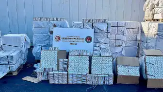 Mersin Limanı'nda Pakistan'dan Gelen Konteynerde 12 Milyon 400 Bin Kapsül İlaç Ele Geçirildi