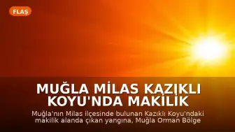 Muğla Milas Kazıklı Koyu'nda Makilik Alanda Yangın