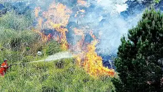 Ormancılardan Yaz Sıcaklıkları ve Yangın Tehlikesi Hakkında Uyarı