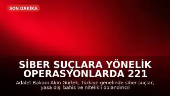 Siber Suçlara Yönelik Operasyonlarda 221 Gözaltı Kararı