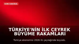 Türkiye'nin İlk Çeyrek Büyüme Rakamları Açıklandı: Bilgi ve İletişim Sektörü Öne Çıktı