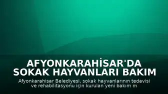 Afyonkarahisar'da Sokak Hayvanları Bakım ve Rehabilitasyon Merkezi Hizmete Giriyor