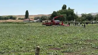Ankara Sincan'daki Helikopter Kazası Sonrası Enkaz Vinçle Kaldırıldı