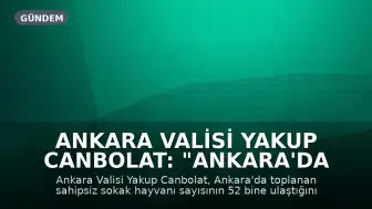 Ankara Valisi Yakup Canbolat: "Ankara'da toplanan sahipsiz sokak hayvanı sayısı 52 bine ulaştı"