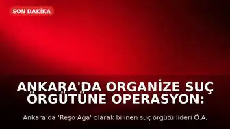 Ankara'da Organize Suç Örgütüne Operasyon: 'Reşo Ağa' Kod Adlı Şahıs ve 14 Kişi Yakalandı