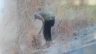 Ankara'da Ot Yangını Kundaklama Çıktı: Güvenlik Kamerası Kayıttaydı