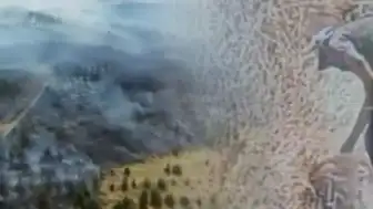 Ankara'da Otluk Alanda Çıkan Yangının Kundaklama Olduğu Ortaya Çıktı