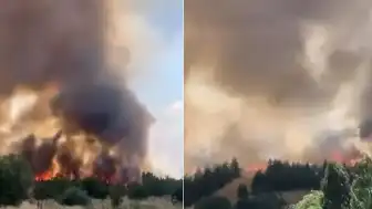 Ankara'da Otluk Alanda Yangın Söndürüldü