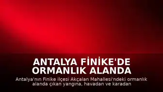 Antalya Finike'de Ormanlık Alanda Yangın Çıktı