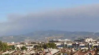 Aydın'da Çıkan Orman Yangınının Dumanları Efeler'e Ulaştı