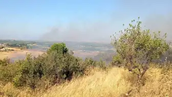 Balıkesir Altıeylül'de çıkan arazi yangınına havadan ve karadan müdahale edildi