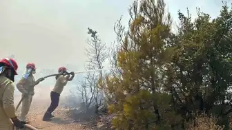 Balıkesir Gömeç'te Orman Yangınına Havadan ve Karadan Müdahale Devam Ediyor