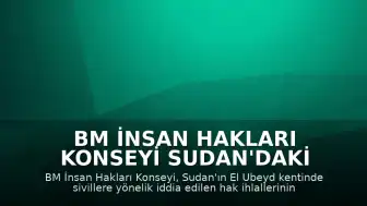 BM İnsan Hakları Konseyi Sudan'daki El Ubeyd Şehri İçin Soruşturma Kararı Aldı