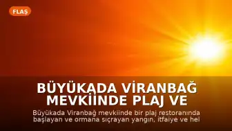Büyükada Viranbağ Mevkiinde Plaj ve Orman Yangını: Kontrol Altına Alındı